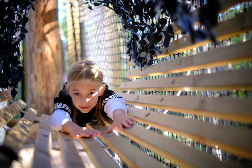 Parcours dans la peau d'un singe