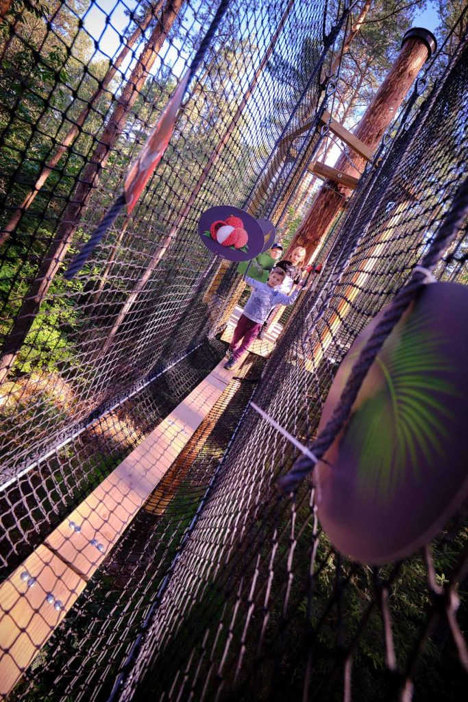 Parcours dans la peau d'un singe