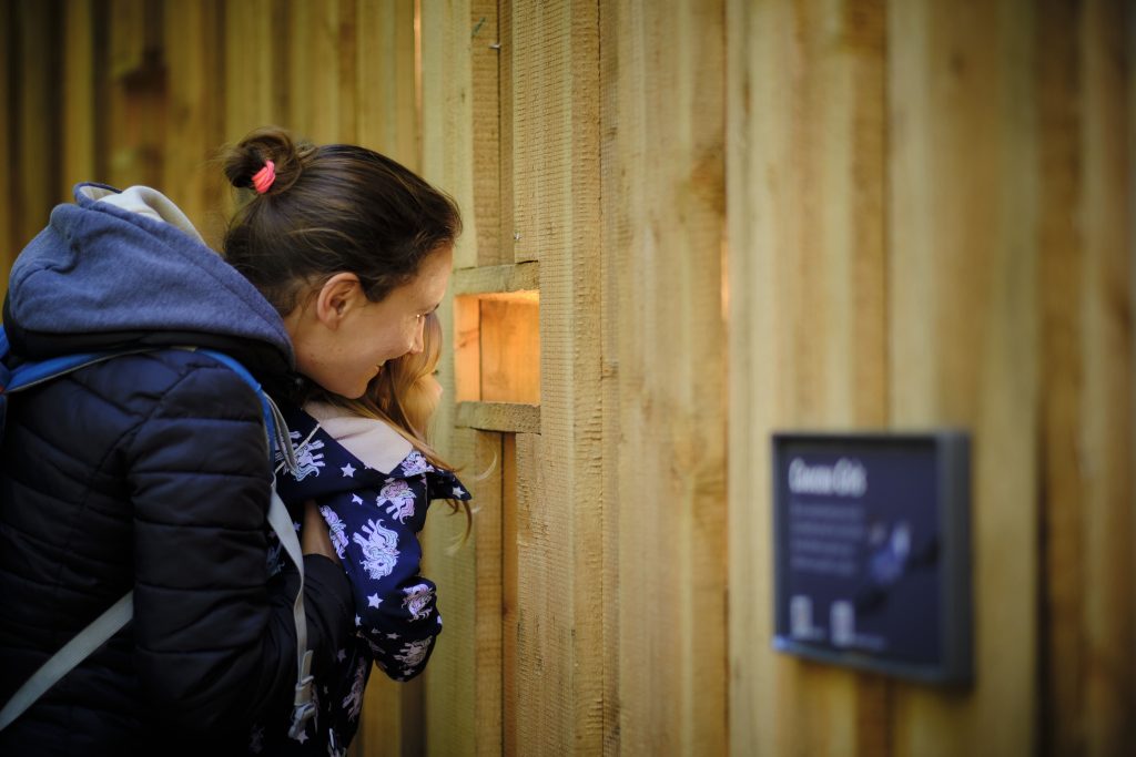 Bird watching wall