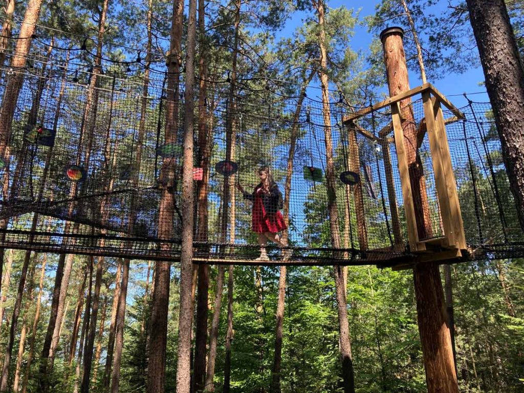 Parcours dans la peau d'un singe