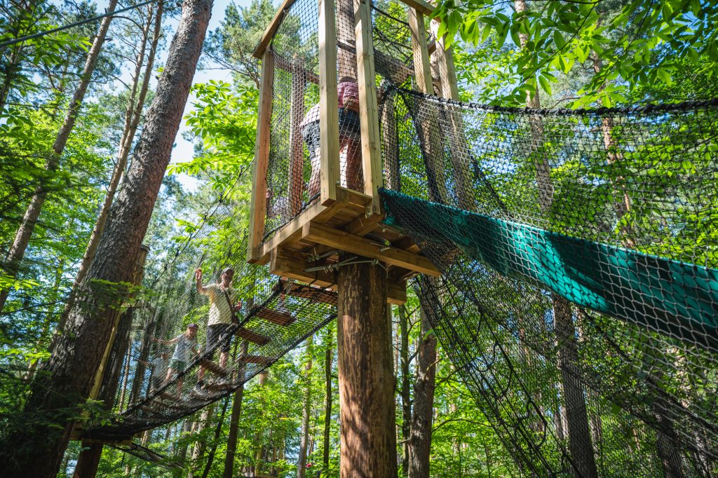 Dans la peau d'un singe