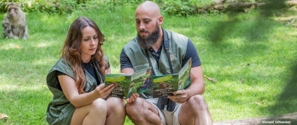 Visite VIP Montagne des Singes