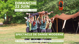 Spectacle de danse moderne