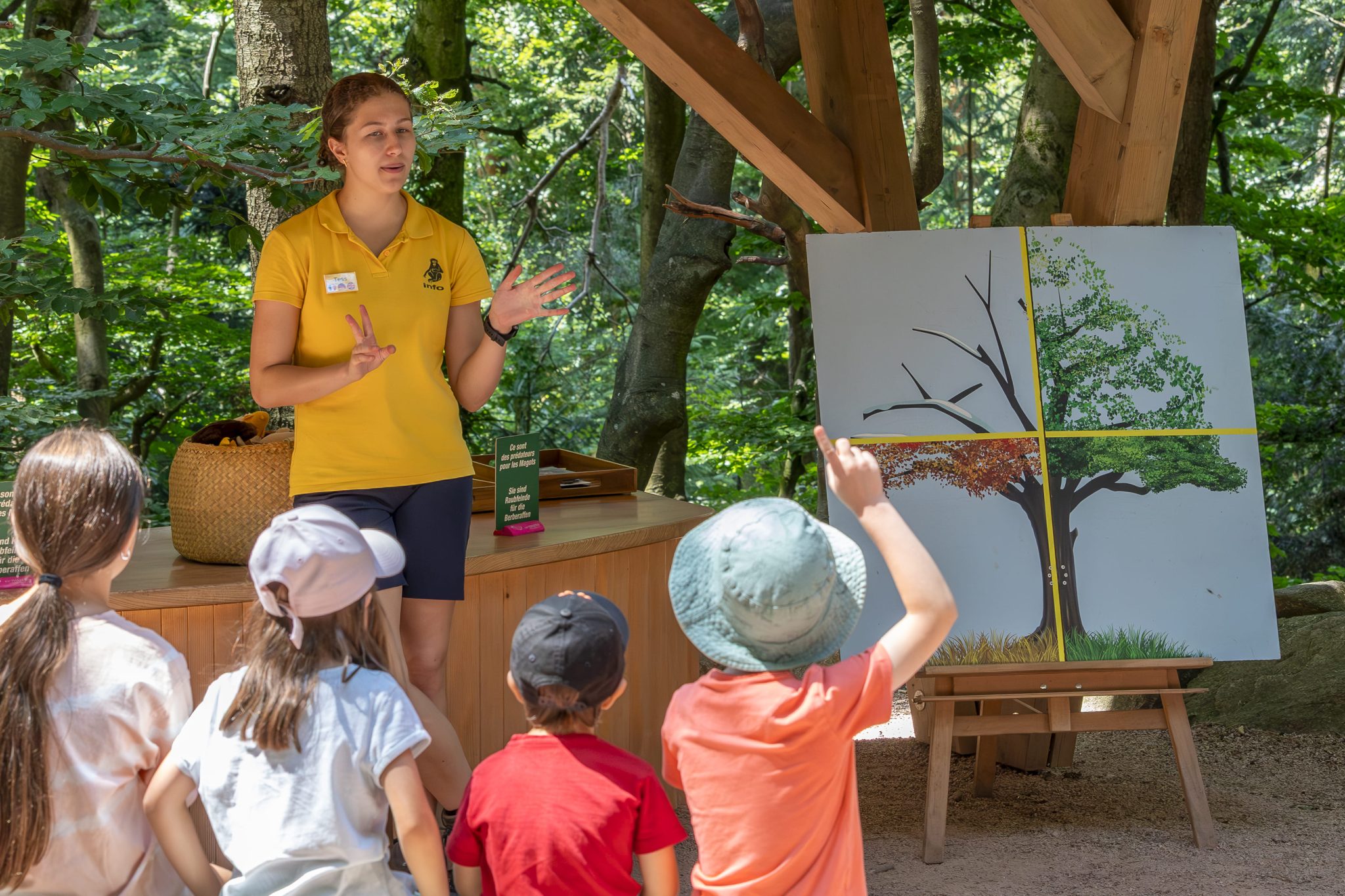 Animatrice nature présentant une animation découverte sur les singes à un public familial à la Montagne des Singes
