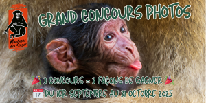 📸 Grand Concours Photo – Automne 2025