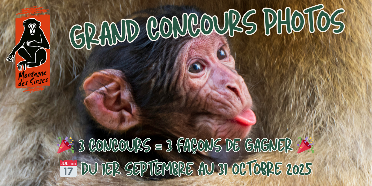 Grand concours photo automne 2025