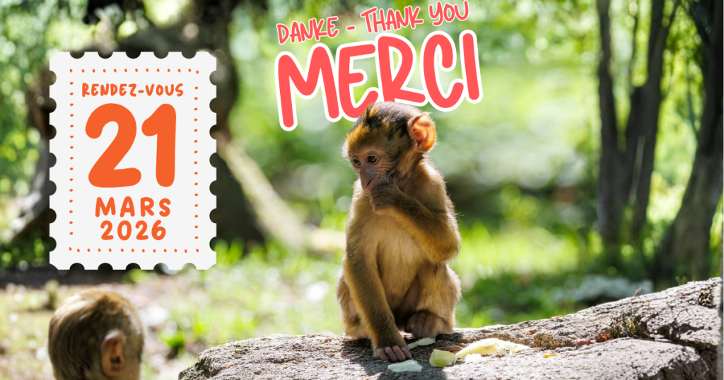 Saisonende… aber der Winter bringt schöne Überraschungen!