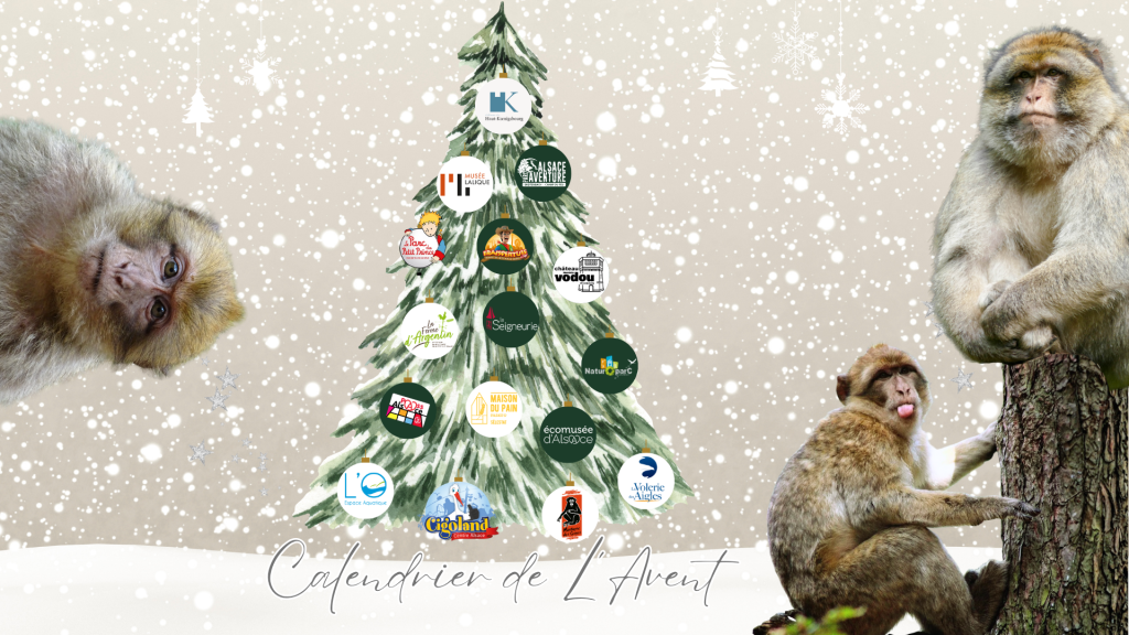 Calendrier de l’Avent