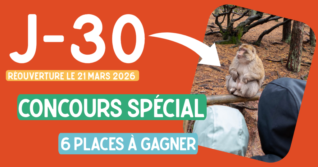 J-30 avant la réouverture : grand concours spécial 21 mars 2026