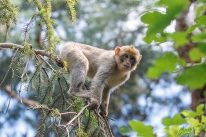 Grand Concours Photo – été 2026