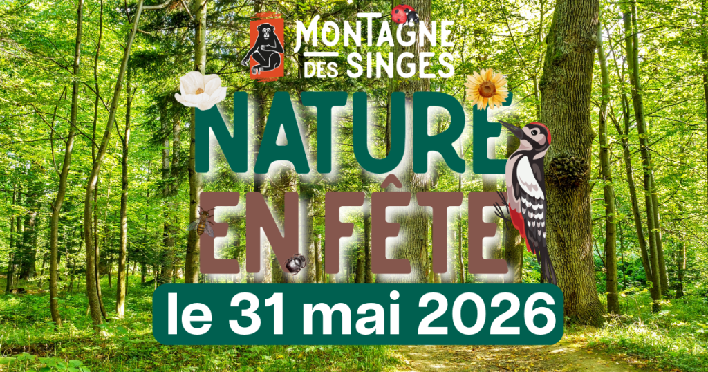 🌿 Nature en fête – Une journée dédiée à la biodiversité