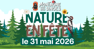 🌿 Nature en fête – Une journée dédiée à la biodiversité